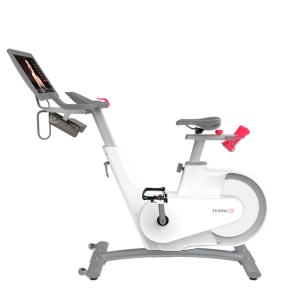 Купить Велотренажер Yesoul BV1-W PLUS в Угличе 